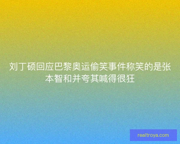 刘丁硕回应巴黎奥运偷笑事件称笑的是张本智和并夸其喊得很狂